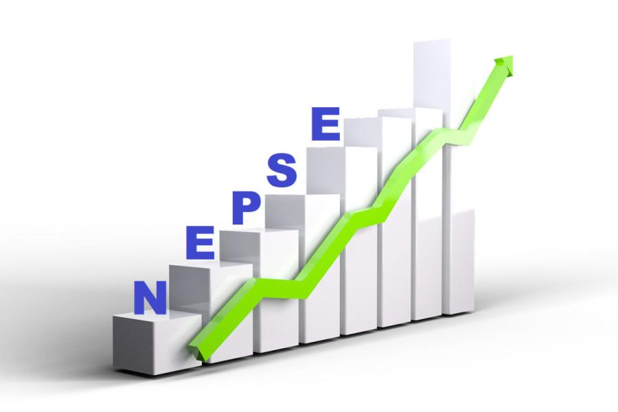 सामान्य बढ्यो नेप्से, ११ अर्ब ८७ करोडको कारोबार