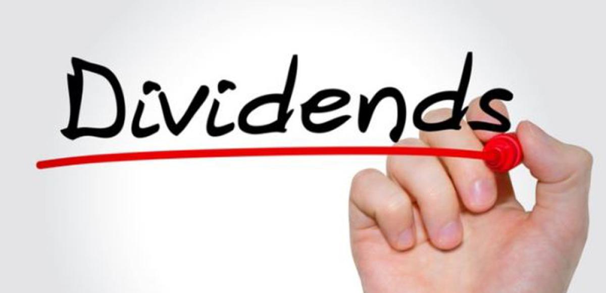 सिटिजन्स क्यापिटलको १५.५० प्रतिशत लाभांश प्रस्ताव