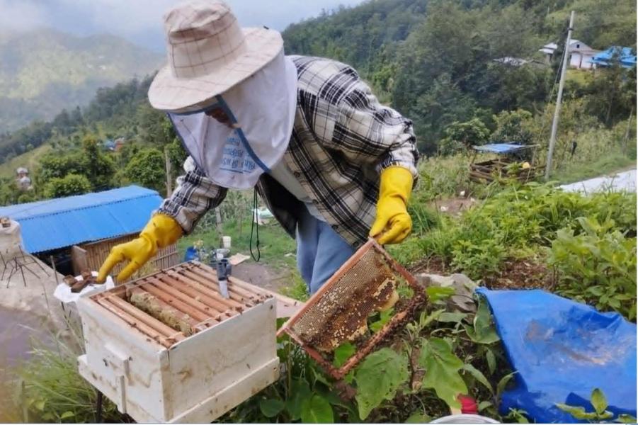 मौरीपालनबाट मासिक ५० हजार आम्दानी