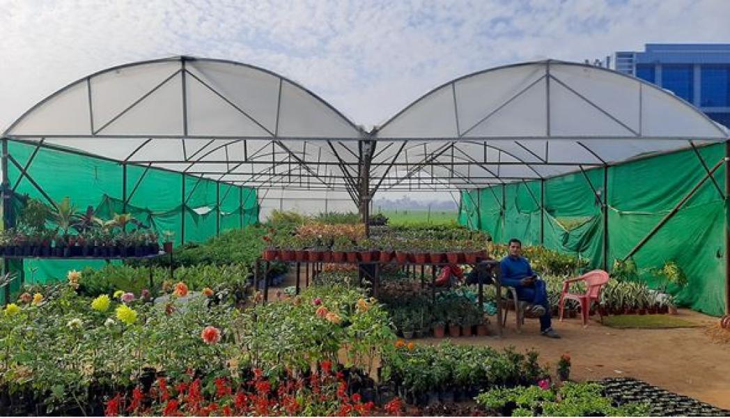 नर्सरी व्यवसायबाट मासिक ४० हजार बचत