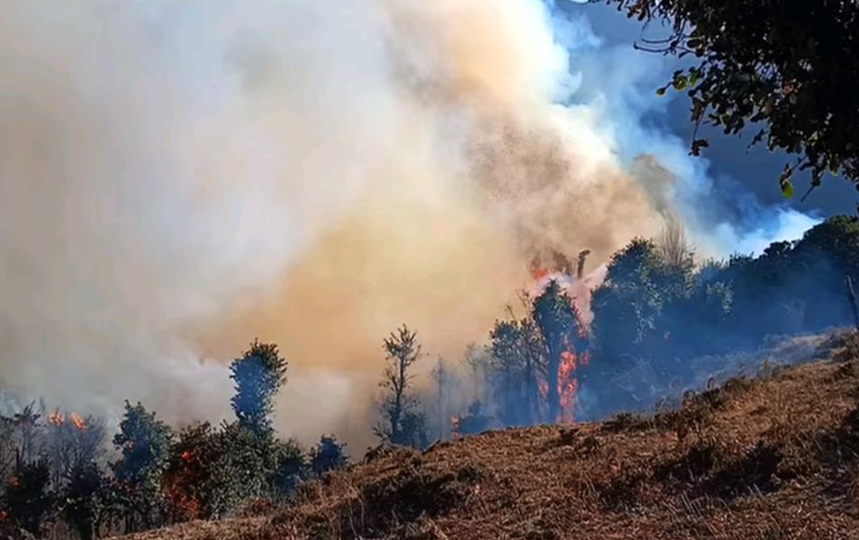 सामुदायिक वनमा लागेको आगो निभाउन कठिन, जोखिममा भेडीगोठ