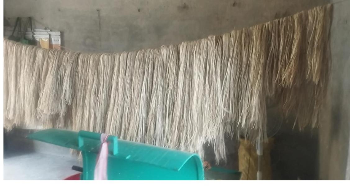 केराको रेशाबाट उत्पादित सामग्रीको माग बढ्दो