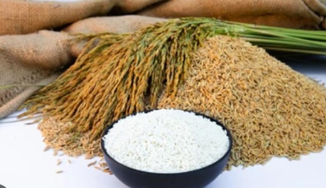 वीरगञ्ज नाका हुँदै सात महिनामा रु आठ अर्ब ६८ करोड मूल्य धान–चामल आयात