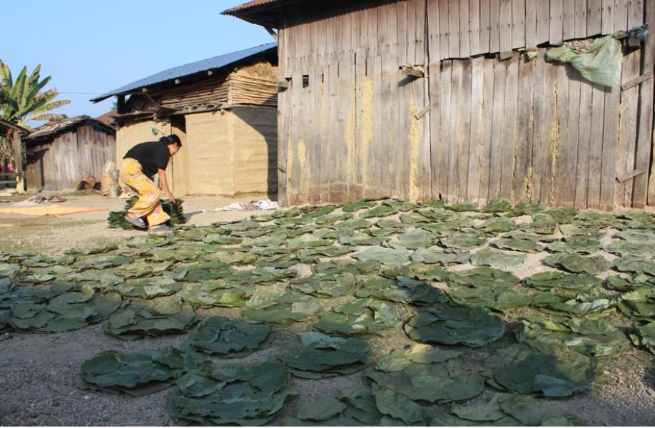 दुनाटपरी गाँसेर जीविकोपार्जनको उपाय खोज्दै महिला