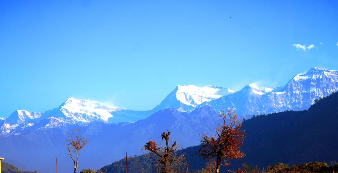 गुराँस र हिमाल