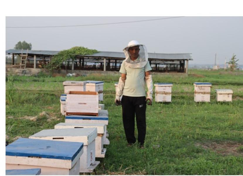 विदेशबाट फर्केर पशुपालनसँगै मौरीपालनमा रमाइरहेका मनराज