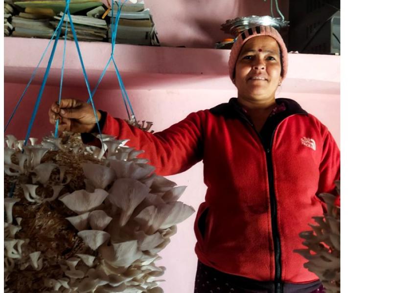 तालिम पाएपछि महिला च्याउखेतीतर्फ आकर्षित