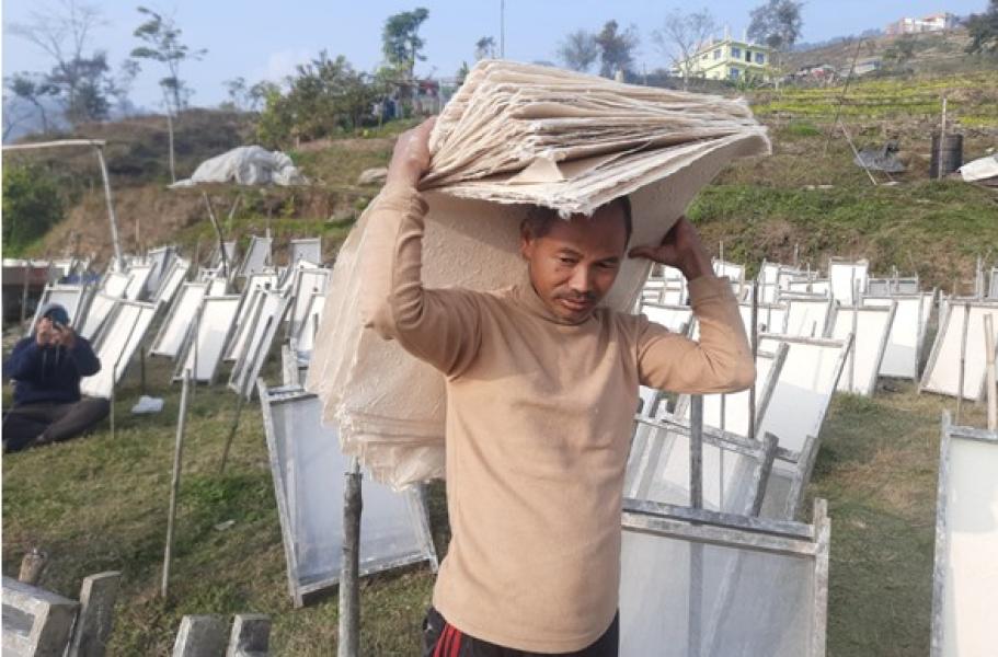 कागज उद्योगमा रमाउँदै पासाङ