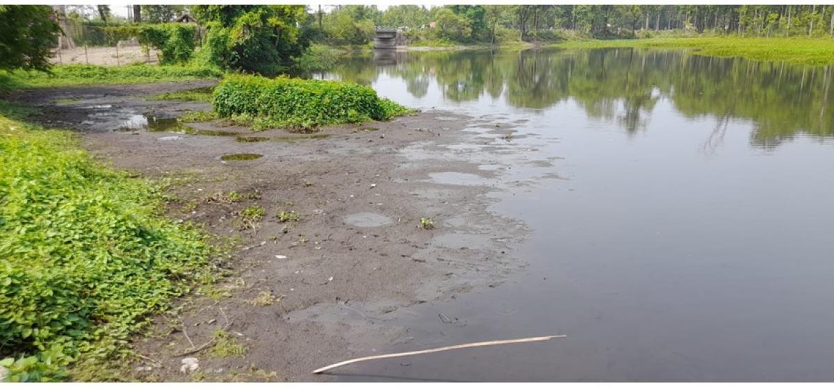 सिमसार क्षेत्रको अतिक्रमणले कछुवा जोखिम