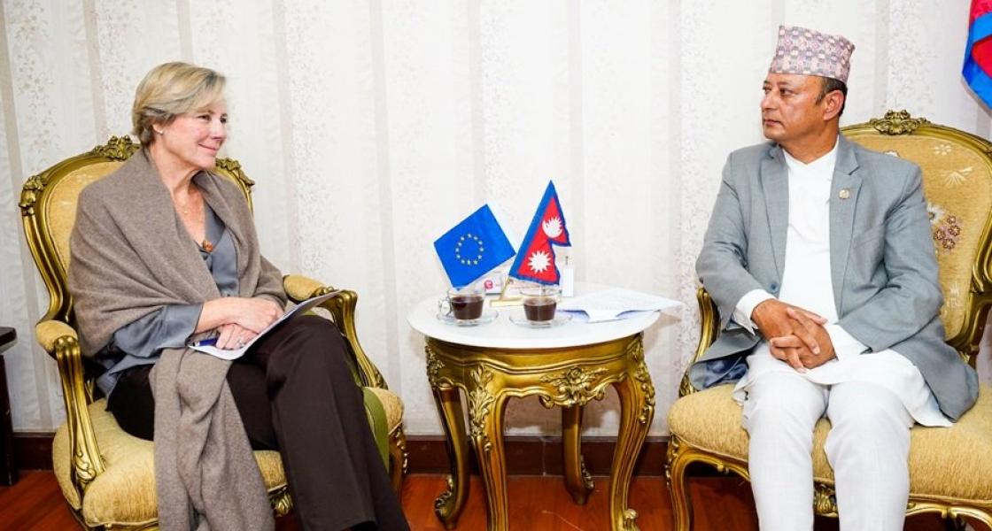 जलवायु परिवर्तन र वैकल्पिक ऊर्जाका क्षेत्रमा सहकार्य गर्न युरोपियन युनियन प्रतिबद्ध