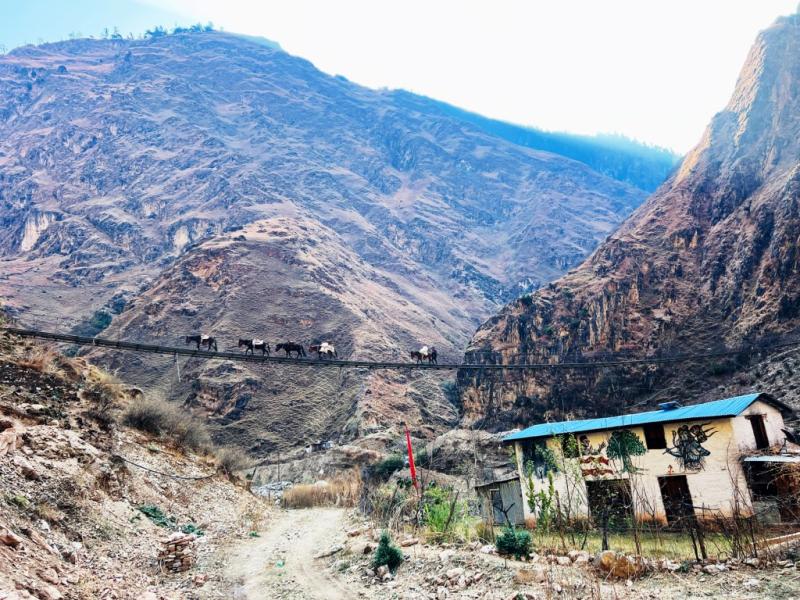 झोलुङ्गे पुल तर्दै खच्चड