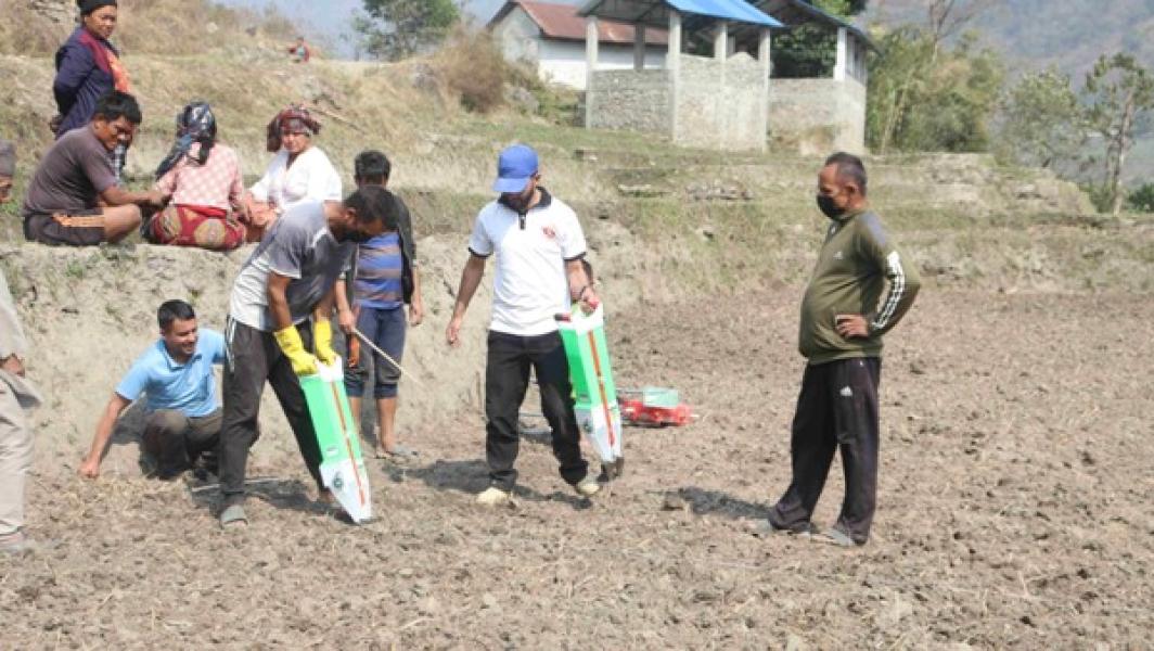 सामूहिक मकैखेती गर्दै ताप्लेजुङका किसान