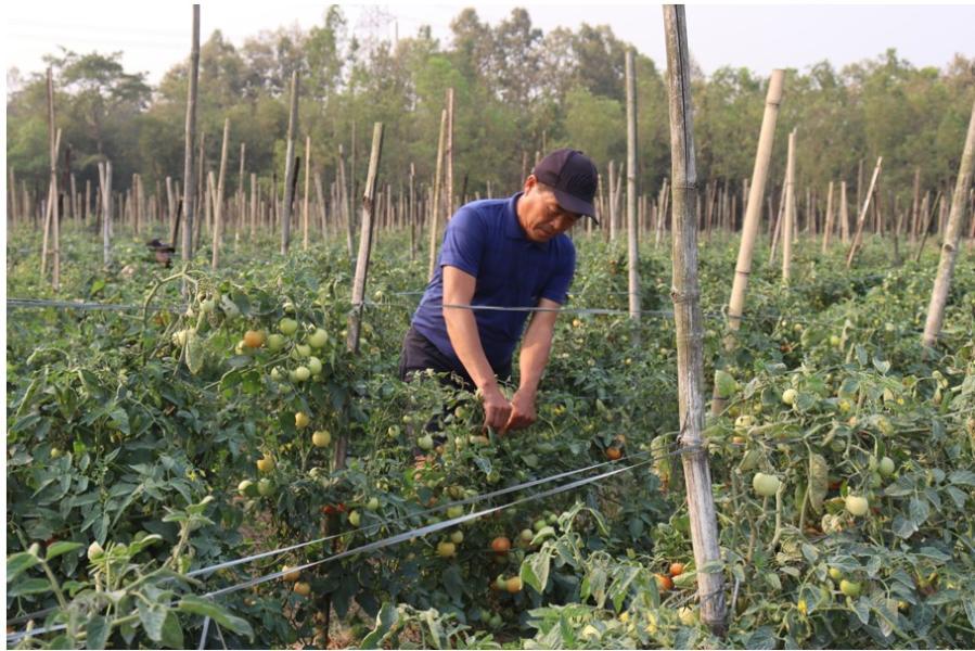 सागसब्जी बेचेर मासिक एक लाख आर्जन