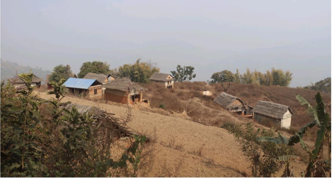 बाँदर आतङ्कले बसाइँसराइ बढ्दा बस्ती नै खण्डहर