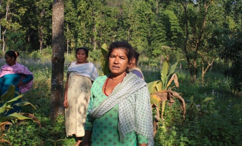 वनको खाली जग्गामा खेती गरेर आम्दानी गर्दै महिला