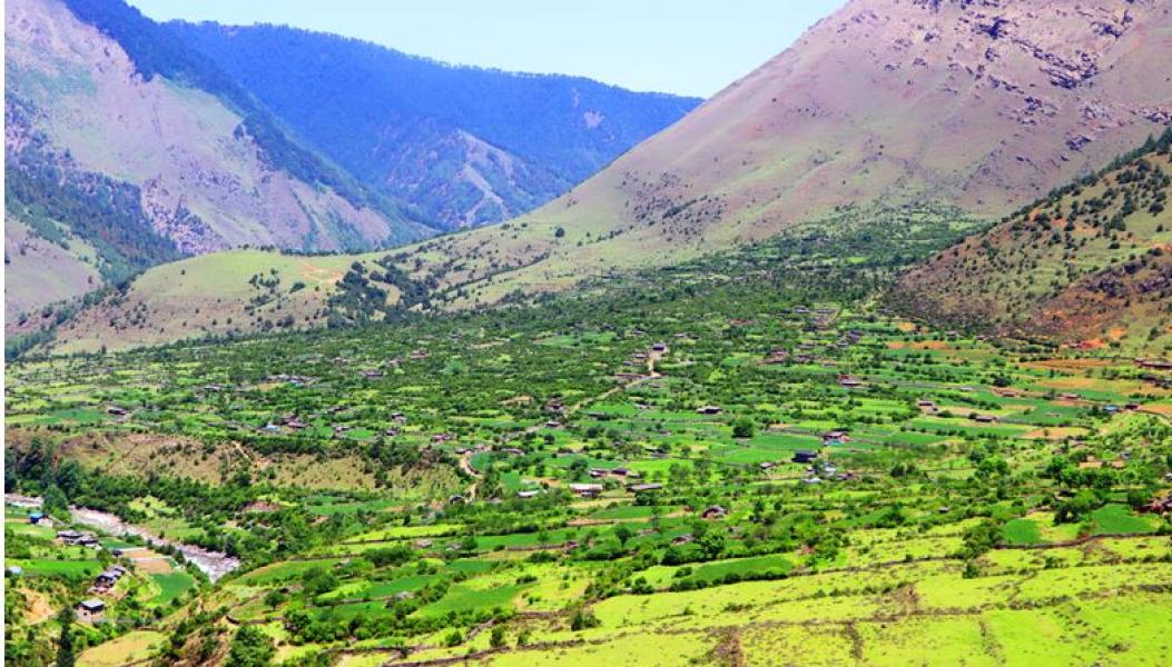 उज्यालो पर्खिरहेको निसेलढोर