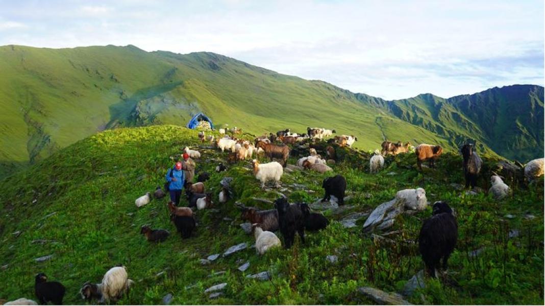 पाहुनाका लागि ‘गोठ स्टे’