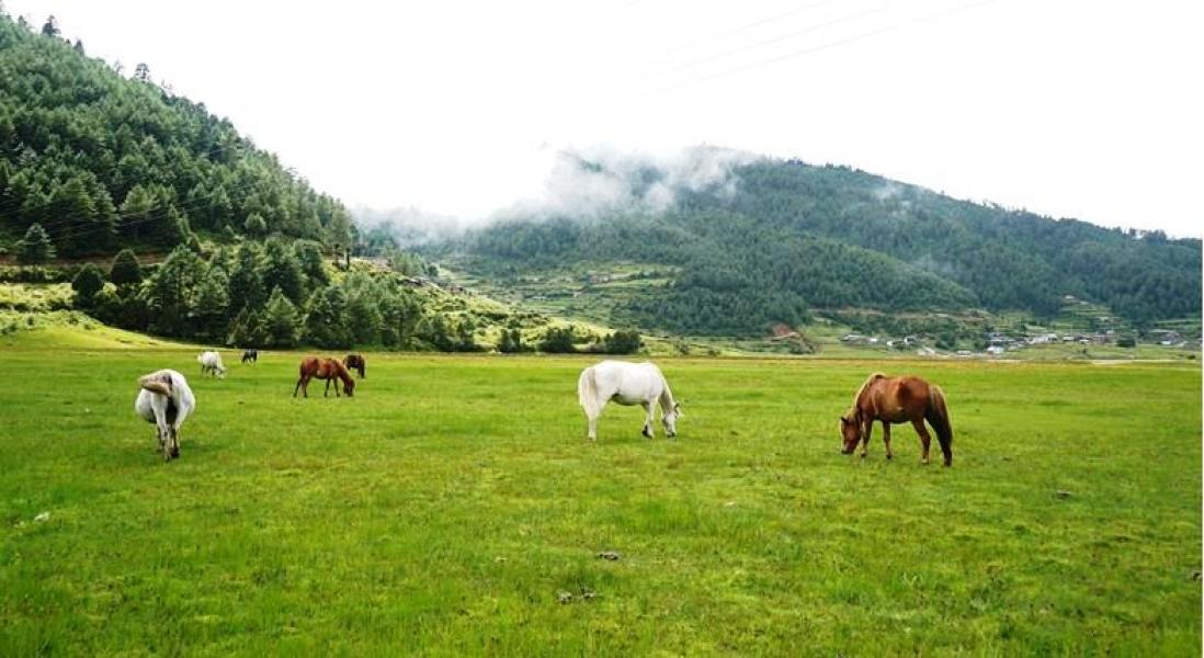 ढोरपाटनमा पर्यटक आगमन दोब्बरले बढ्यो