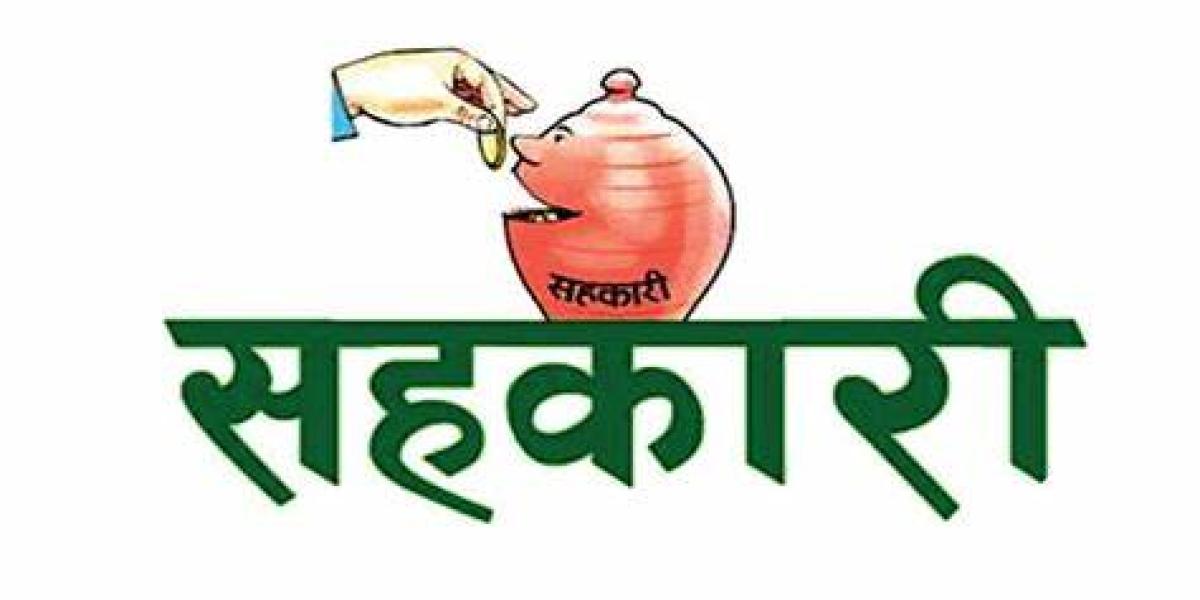 सहकारीको १२ महिनासम्म भाका नाघेमा खराब कर्जा हुने