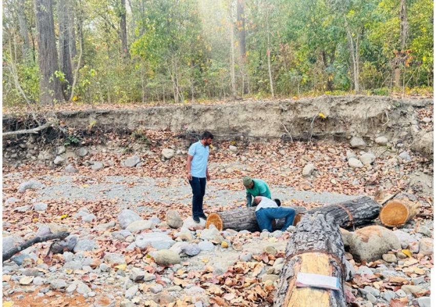 साझेदारी वन कार्यान्वयनपछि स्थानीयलाई रोजगारी