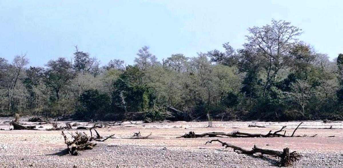 आलेखः कर्णालीमा हरेक वर्ष बग्छन् करोडौँका काठ