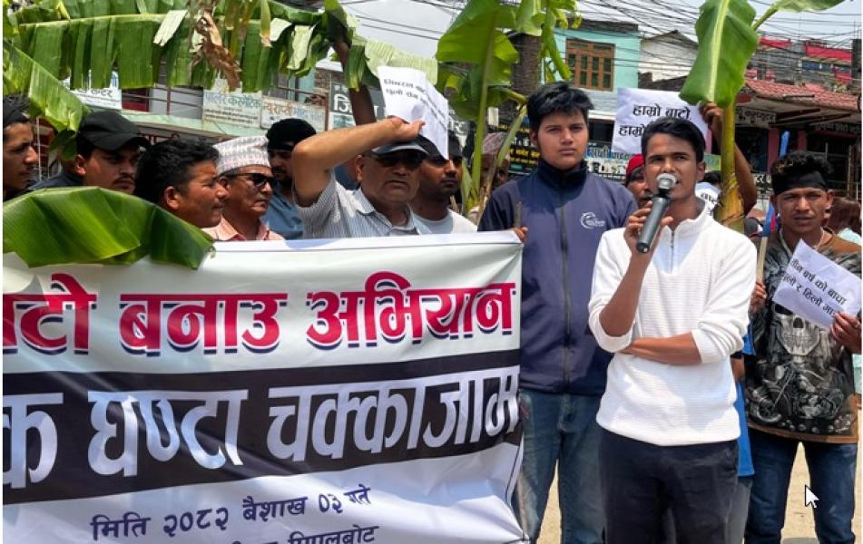 सडक निर्माणको माग गर्दै सडकमै रोपियो केराको बोट