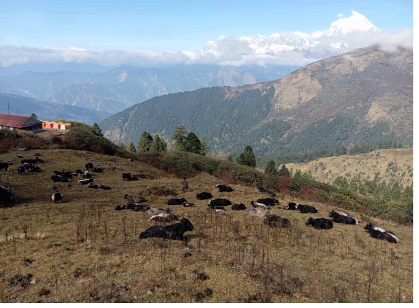 पर्यटकका पर्खाइमा बयली