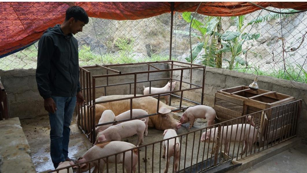 बङ्गुर पालेर स्वरोजगार र आत्मनिर्भर