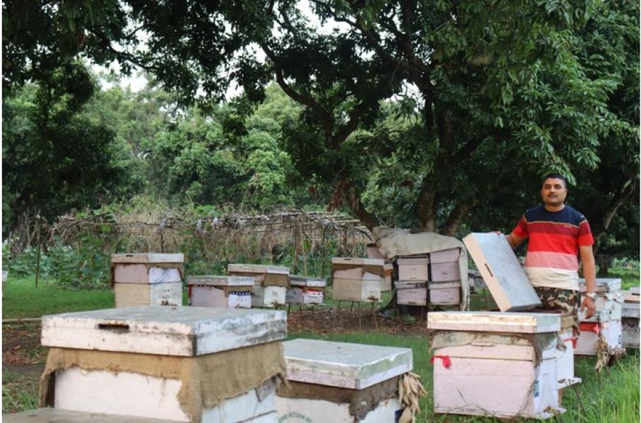 मौरीपालेर वार्षिक आठ लाख बढी आम्दानी