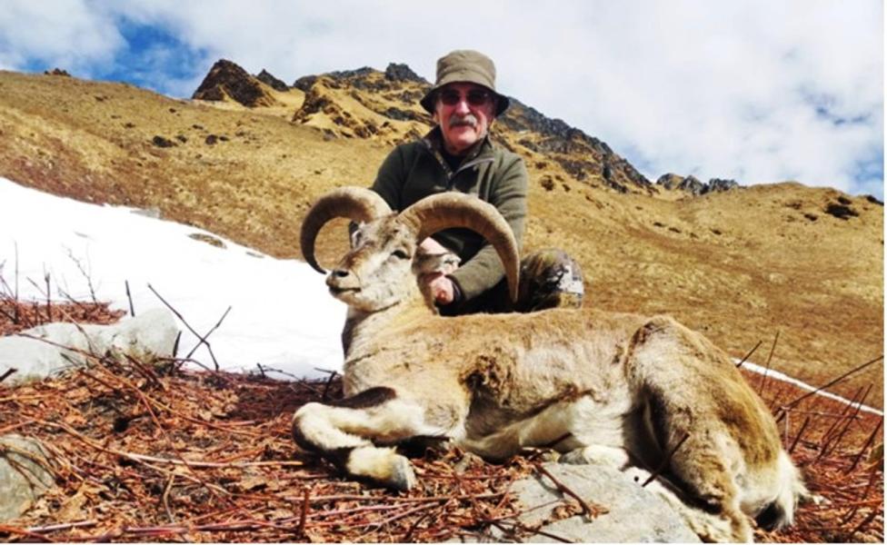 सकियो दोस्रो सिकारयामः ११ नाउर र सात झारलको सिकार