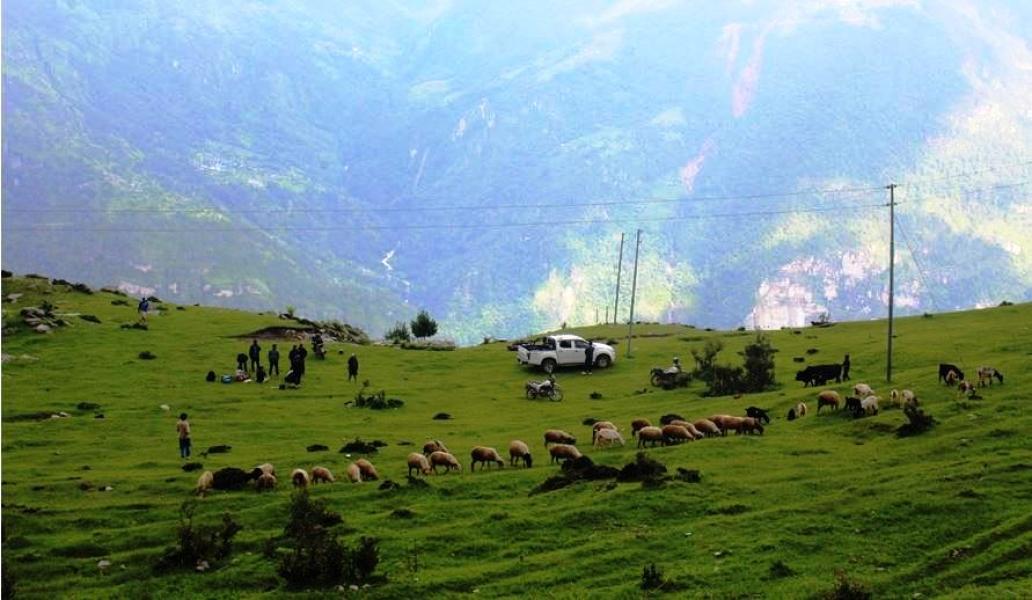 लोभलाग्दो रुइसेको सुन्दरता