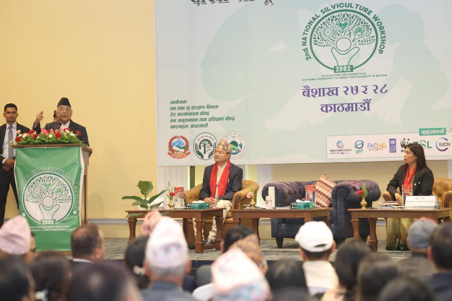 सालघारीको फडानी हुने क्रमलाई कडाइका साथ रोकिनेछ : प्रधानमन्त्री