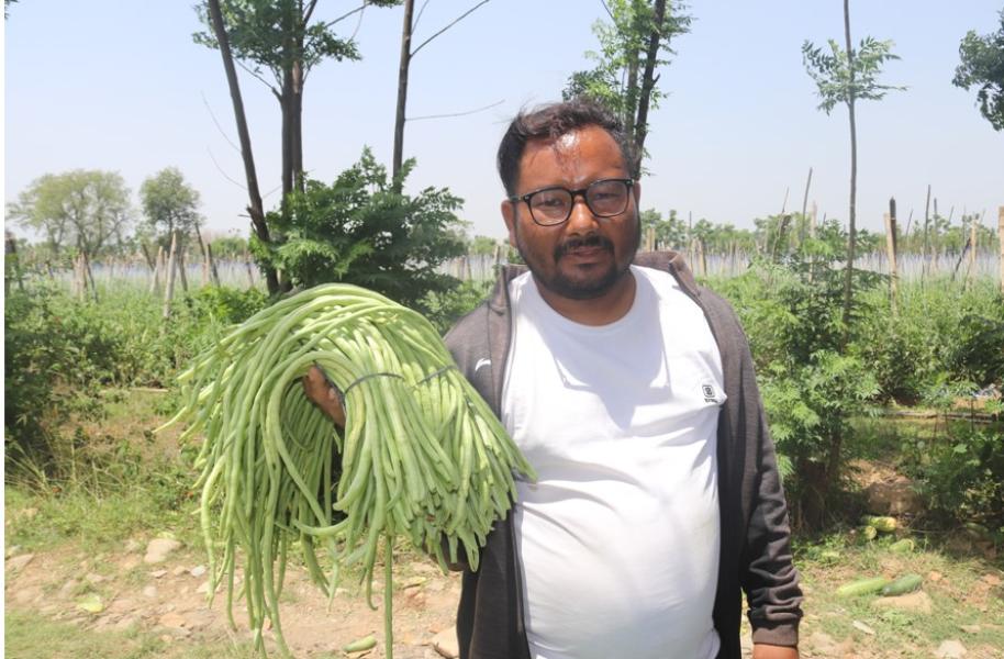 जग्गा भाडामा लिएर व्यावसायिक तरकारी खेतीमा रमाउँदै युवा महेन्द्र खड्का