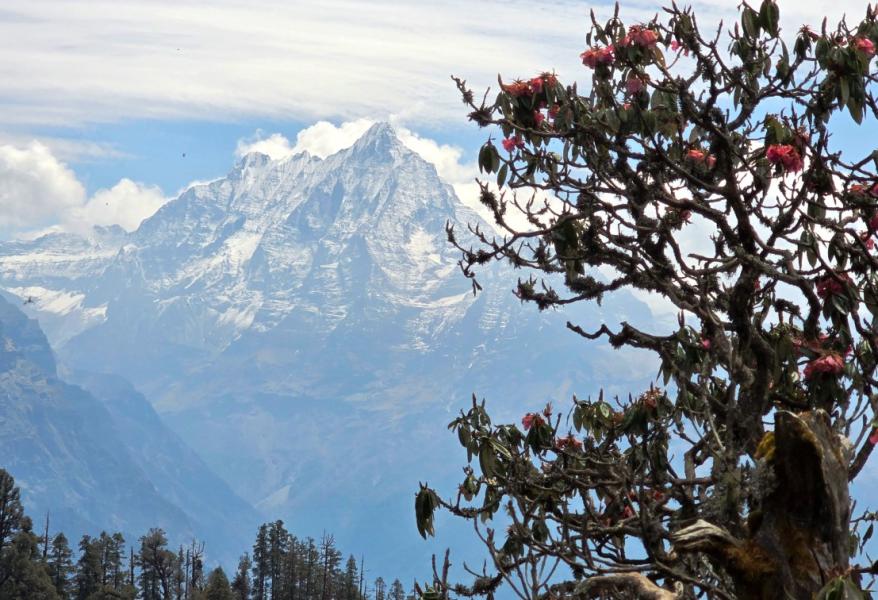 सिस्ने हिमाल