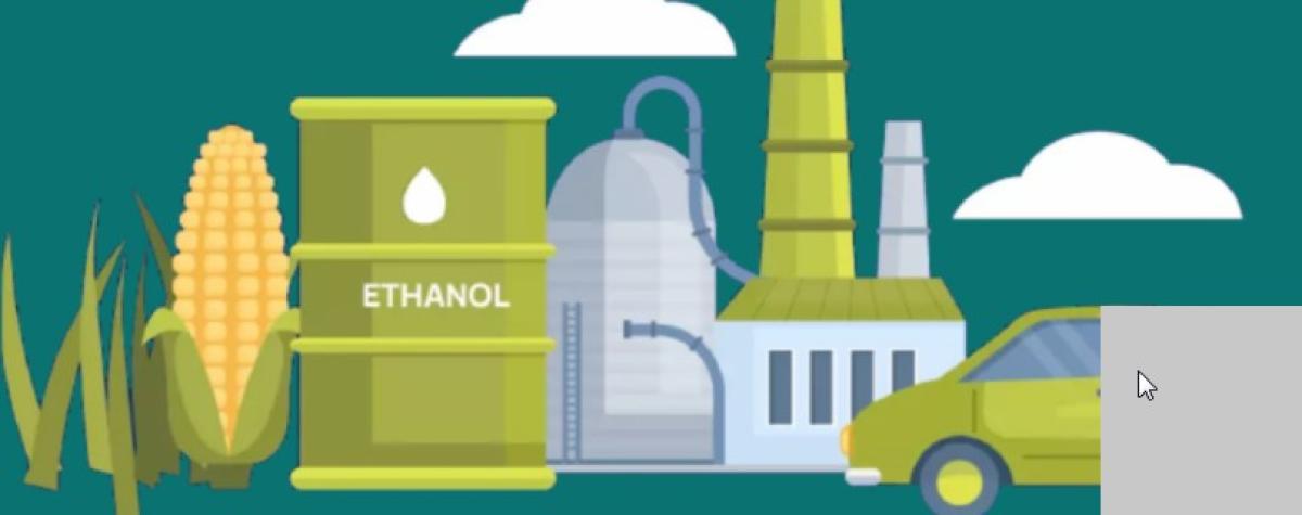 इन्धनमा बायोइथानोलको प्रयोग बढाउँदै इन्डोनेसिया, सरकारको रणनीतिक योजना सार्वजनिक