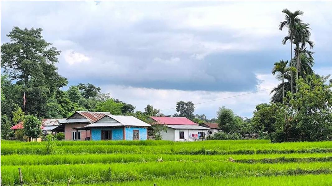 व्यावसायिक कृषि क्षेत्रमा आकर्षित बालचन खोरियाका किसान