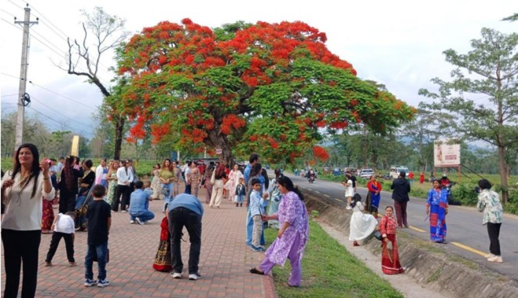 ढकमक्क फुलेका गुलमोहरले पर्यटकलाई लोभ्यायो