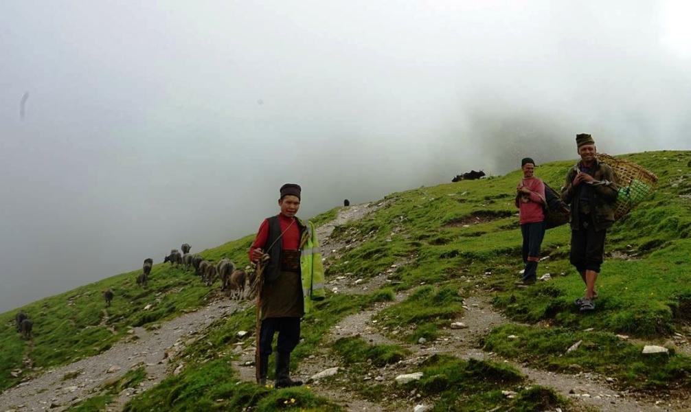 वृद्धहरुले धानेको गोठ