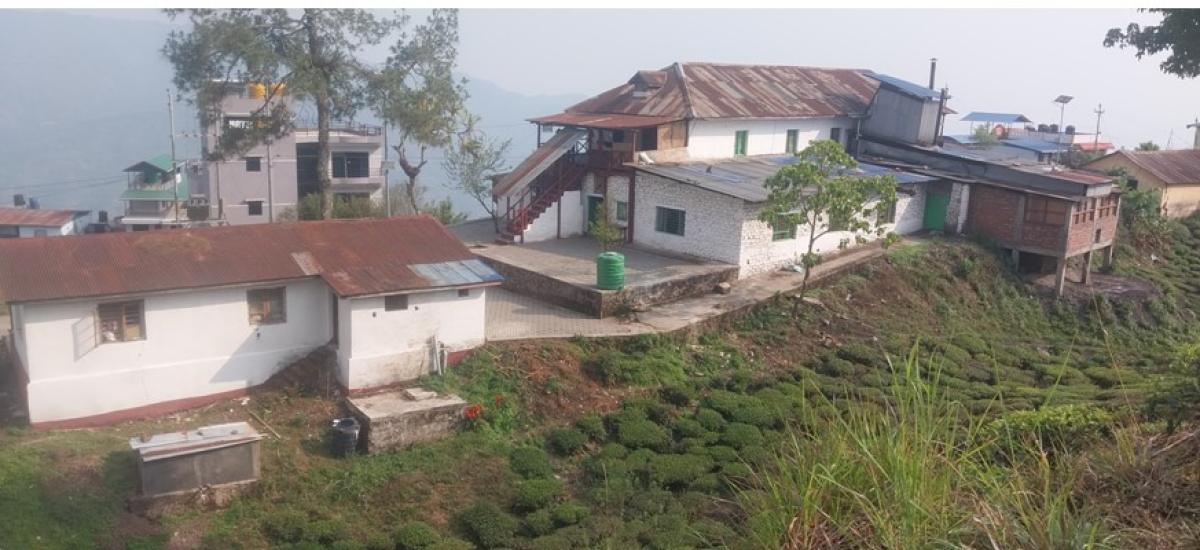 औद्योगिक जिल्लातर्फ अघि बढ्दै इलाम