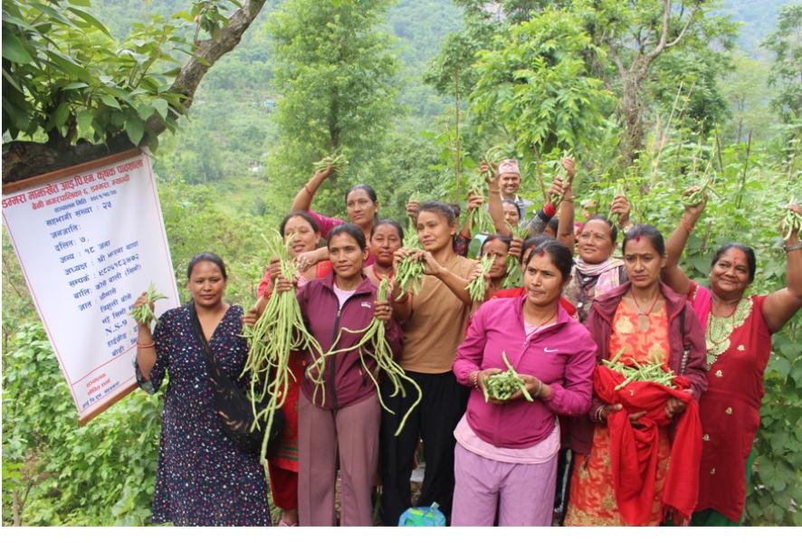 कृषिमा रैथाने सीप र प्रविधि बढाउन ‘आइपिएम’ कृषक पाठशाला’