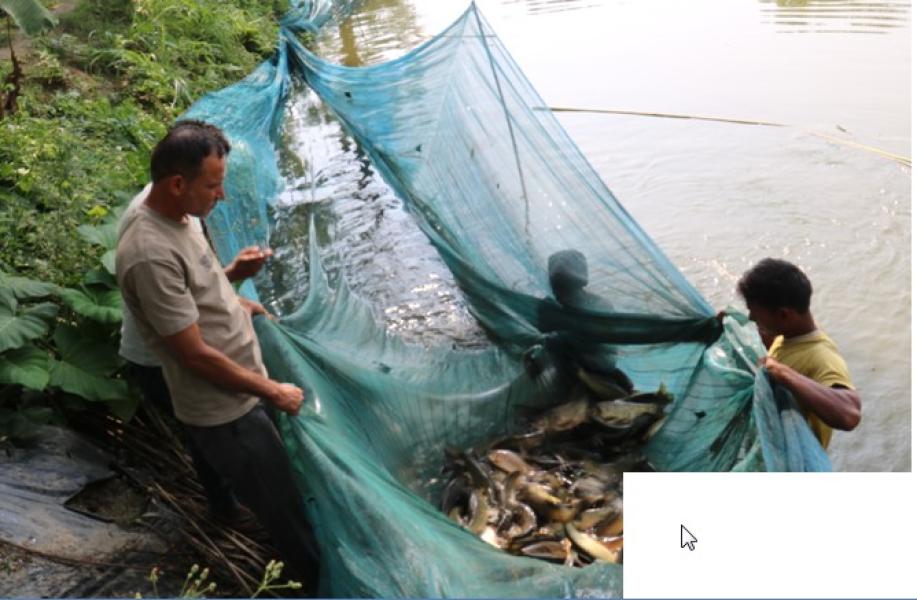 माछा बेचेर वार्षिक डेढ करोड आम्दानी