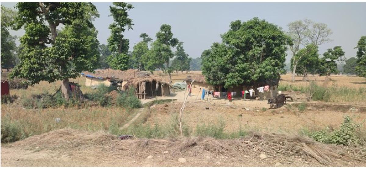 चौबीस वर्षदेखि न्यायको पखाईमा शुक्लाफाँटा आरक्ष विस्थापित
