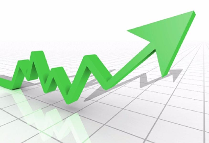 नेप्सेमा सामान्य सुधार, कारोबार रकम घट्यो