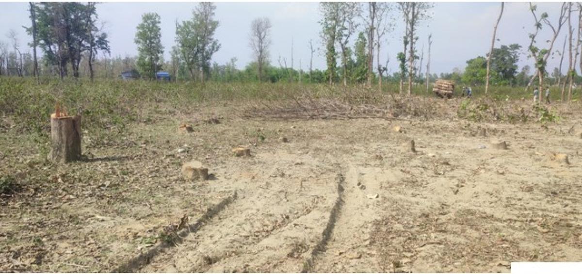 सुक्खा बन्दरगाह निर्माण तीव्र