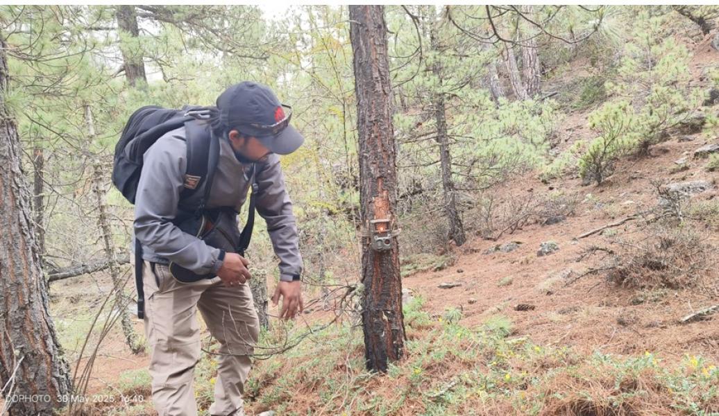 मुस्ताङको तीन पालिकामा हिउँ चितुवा सर्वेक्षण