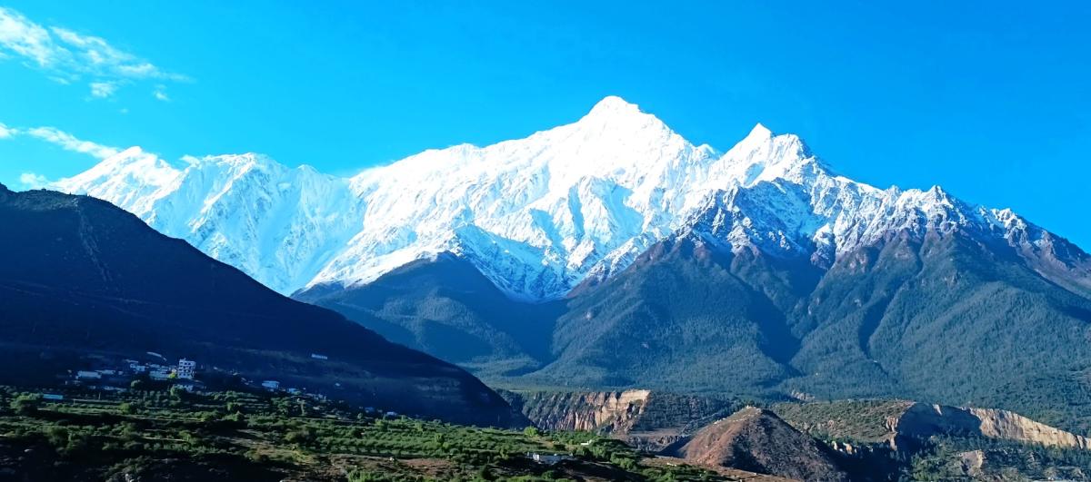 निलगिरि हिमाल