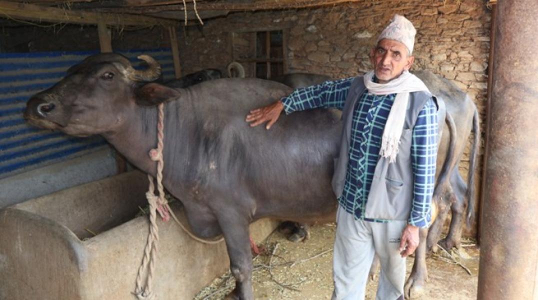 दूध र मह बिक्रीबाट मनग्य आम्दानी