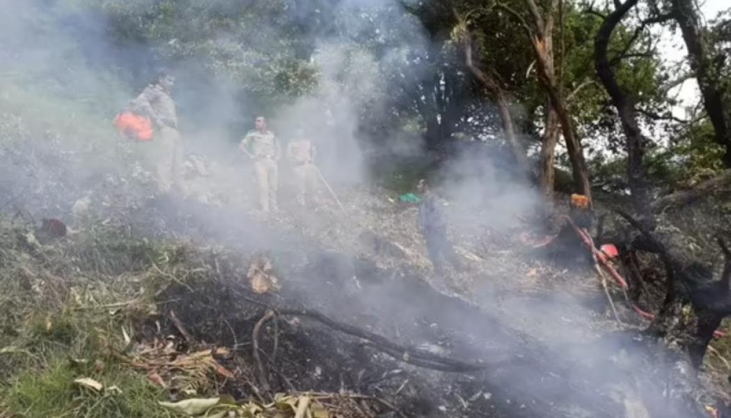 भारतमा हेलिकप्टर दुर्घटनामा बालकसहित सात जनाको मृत्यु