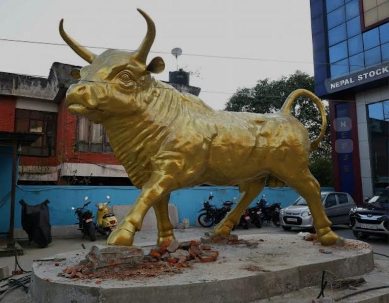 नेप्सेमा झिनो अङ्कको सुधार,११ अर्ब बढीको कारोबार