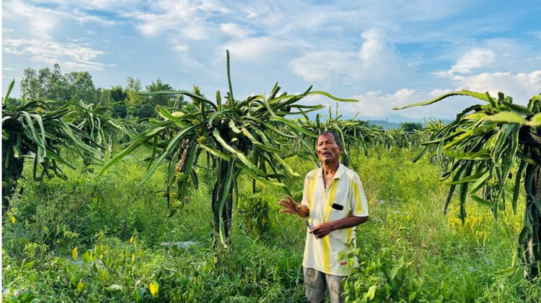 अवकाशप्राप्त इञ्जिनियरको कृषि कर्म